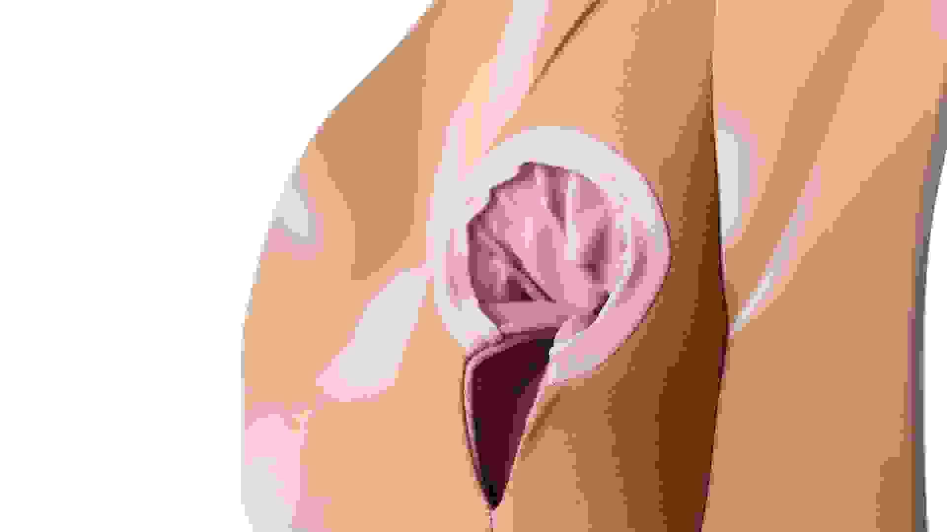 Perineal Repair: Improving Knowledge, Confidence, and Skills